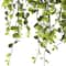 Green Hanging Smilax Bush by Ashland&#xAE;